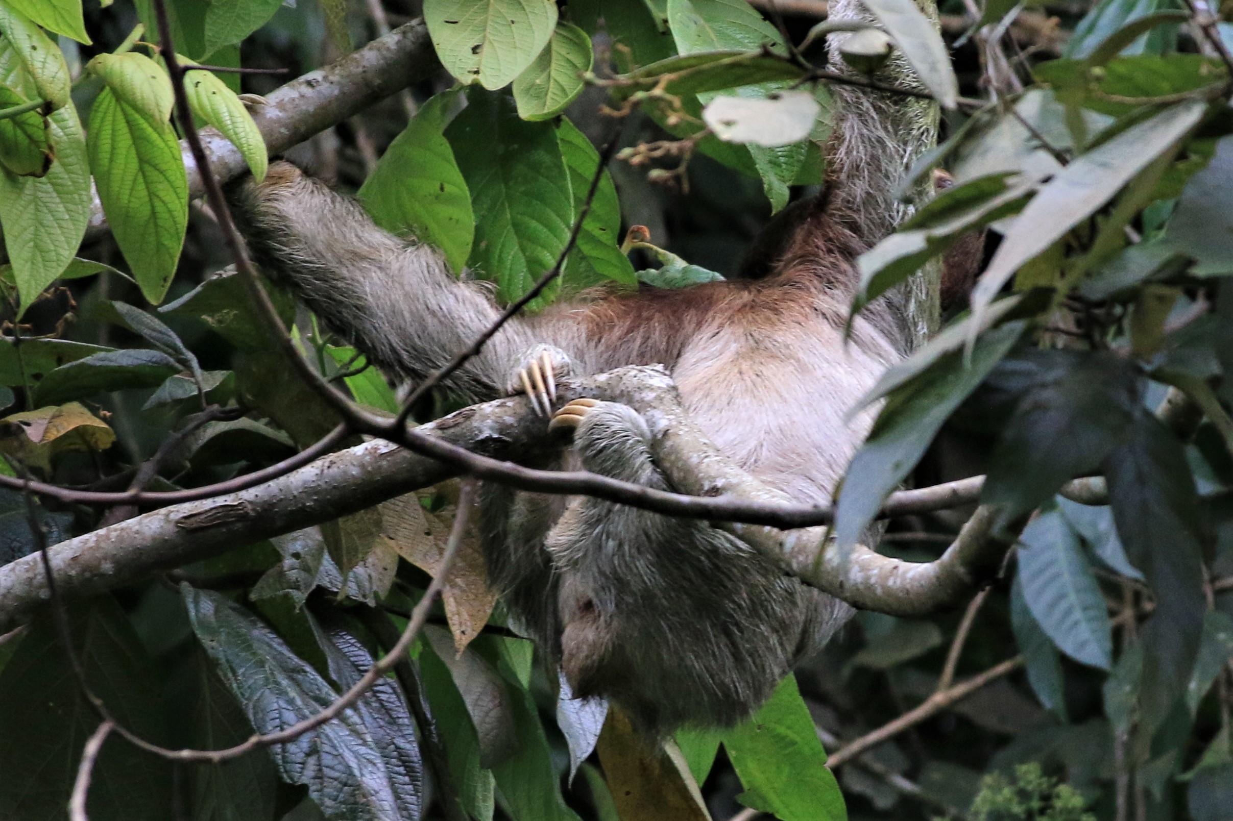 Costa Rica